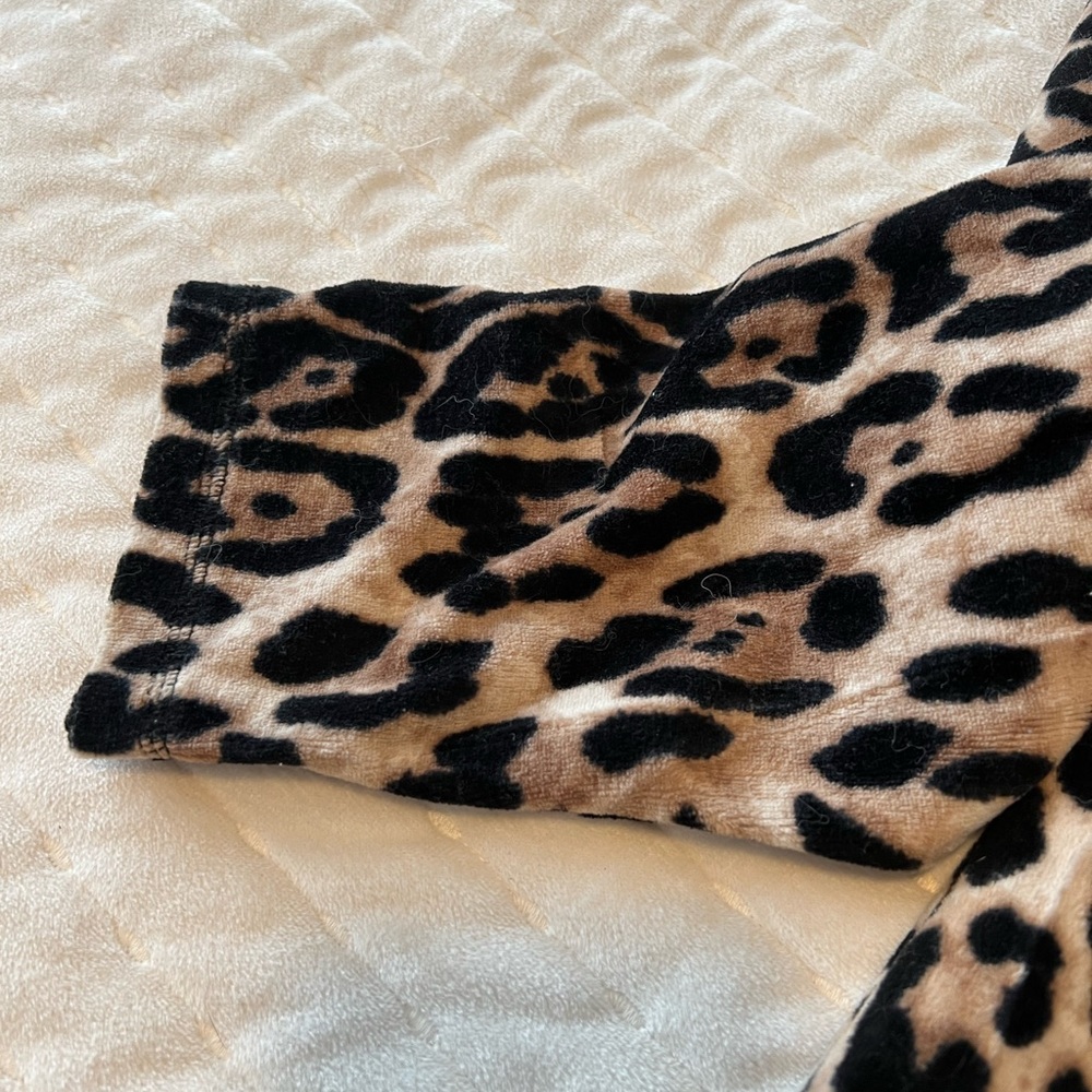Leopard 🐆 - Picture 2 of 5